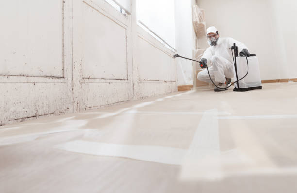 24/7 Emergency Mold Testing experts in Sparta, MI